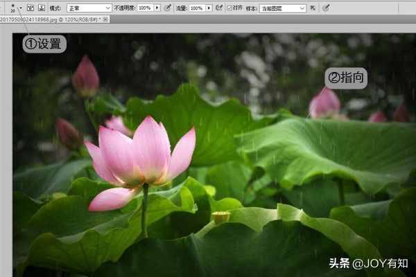 Photoshop從入門到精通：圖章工具，教你用圖章工具精美圖像