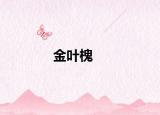 金葉槐