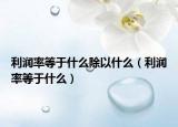 利潤率等于什么除以什么（利潤率等于什么）