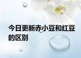 今日更新赤小豆和紅豆的區(qū)別