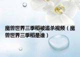 魔獸世界三季稻被追殺視頻（魔獸世界三季稻是誰(shuí)）