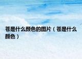蒼是什么顏色的圖片（蒼是什么顏色）