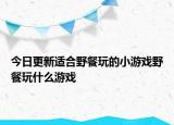 今日更新適合野餐玩的小游戲野餐玩什么游戲