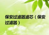 保安過濾器濾芯（保安過濾器）