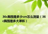 36c胸圍是多少cm怎么測(cè)量（36c胸圍是多大罩杯）