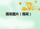 雨凇圖片（雨?。? /></span></a>
                        <h2><a href=