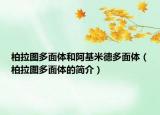 柏拉圖多面體和阿基米德多面體（柏拉圖多面體的簡介）