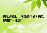 寅吃卯糧打一成語是什么（寅吃卯糧打一成語）