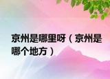 京州是哪里呀（京州是哪個地方）