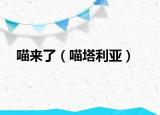 喵來(lái)了（喵塔利亞）