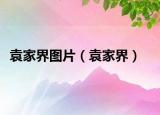 袁家界圖片（袁家界）