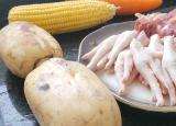 廣東煲湯（粵菜大廚分享35種廣東靚湯的做法及配方）