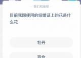 結(jié)婚證上是什么花（結(jié)婚證上的花是什么花）