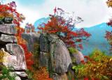 狼牙山玻璃棧道（4A景區(qū)栽在玻璃棧道）