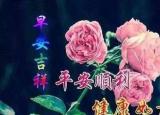 祝福語朋友（友不言摯愛友情誼深心心相連）