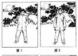 鐵砂掌怎么練（鐵砂掌練習(xí)秘法）