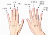 男生戒指戴法（男士右手戴戒指的戴法和意義）