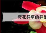奇花異草的異的意思（奇花異草的異是什么意思優(yōu)質(zhì)）