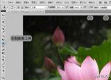 圖章工具怎么用（Photoshop從入門到精通）