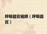 呼吸器官視頻（呼吸器官）