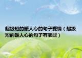 超級短的暖人心的句子愛情（超級短的暖人心的句子有哪些）