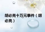 胡必亮十萬元事件（胡必亮）