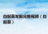 白起墓發(fā)掘完整視頻（白起墓）