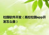 校園軟件開發(fā)（高校校園app開發(fā)怎么做）