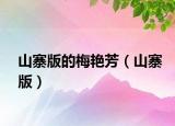 山寨版的梅艷芳（山寨版）
