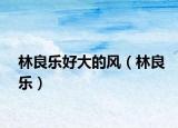 林良樂好大的風(fēng)（林良樂）