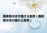 國庫集中支付是什么意思（國庫集中支付是什么意思）