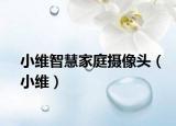 小維智慧家庭攝像頭（小維）
