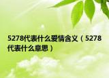 5278代表什么愛情含義（5278代表什么意思）