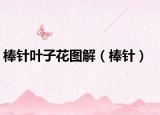 棒針葉子花圖解（棒針）