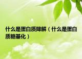 什么是蛋白質降解（什么是蛋白質糖基化）