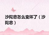 沙陀忠怎么變壞了（沙陀忠）