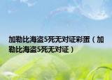 加勒比海盜5死無對證彩蛋（加勒比海盜5死無對證）