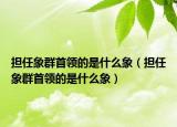 擔(dān)任象群首領(lǐng)的是什么象（擔(dān)任象群首領(lǐng)的是什么象）