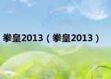 拳皇2013（拳皇2013）