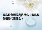 海鳥跟魚相愛表達(dá)什么（海鳥和魚相愛代表什么）