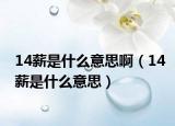 14薪是什么意思?。?4薪是什么意思）