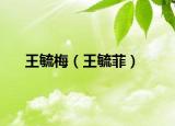 王毓梅（王毓菲）
