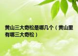黃山三大奇松是哪幾個（黃山里有哪三大奇松）
