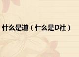 什么是道（什么是D社）