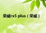 榮威rx5 plus（榮威）