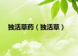獨活草藥（獨活草）