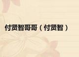 付賢智哥哥（付賢智）