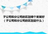 子公司和分公司的區(qū)別哪個發(fā)展好（子公司和分公司的區(qū)別是什么）