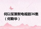 何以笙簫默電視劇36集（何勤華）