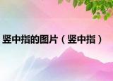 豎中指的圖片（豎中指）